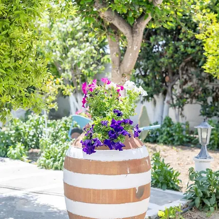 Perivoli 2-chora Сasa de vacaciones Agkidia