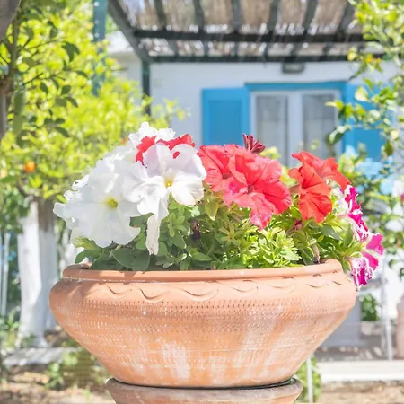 Perivoli 2-chora Ferienhaus