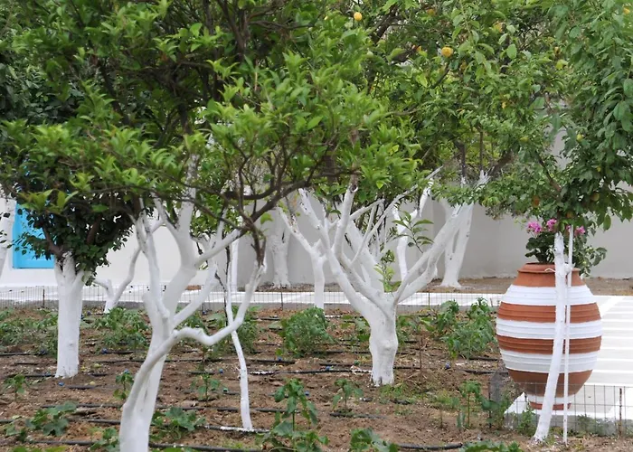 Ferienhaus Perivoli 2-chora Agkidia
