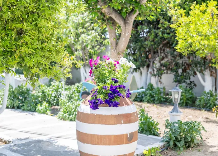 Perivoli 2-chora Сasa de vacaciones Agkidia