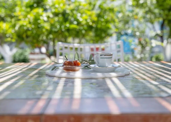 Perivoli 2-chora Holiday home *