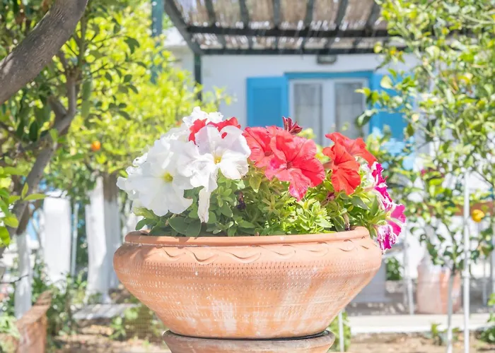 Perivoli 2-chora Holiday home